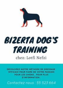 bizerta dog's training chez lotfi