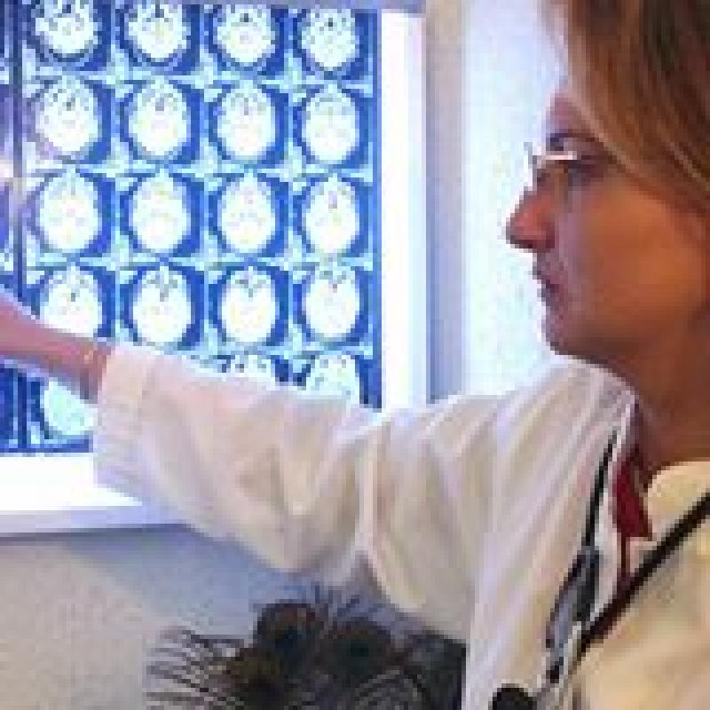de neurologie dr farhat louati inès à La marsa Tunis Bonnes